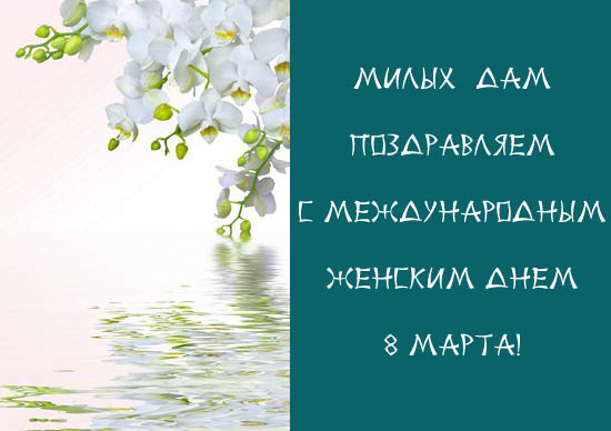 С праздниким, милые дамы! С праздниким, милые дамы!